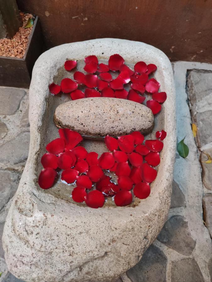 Готель Casa Carmen Reforma Oaxaca Екстер'єр фото