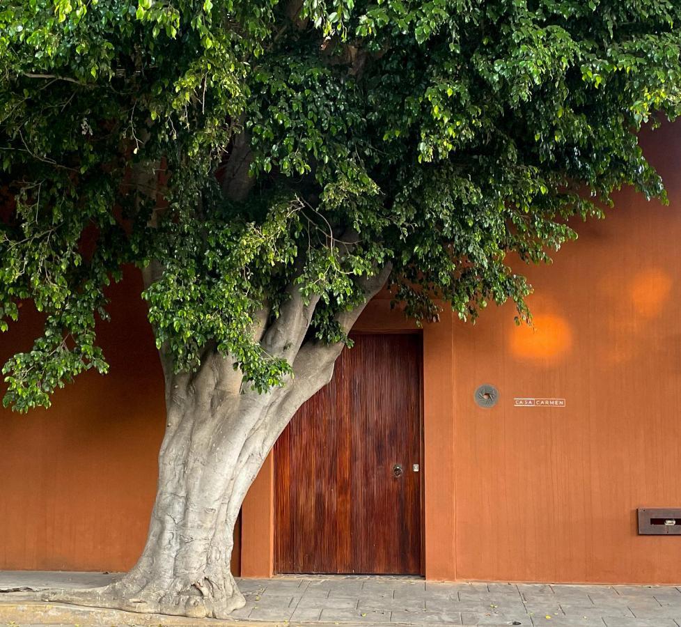 Готель Casa Carmen Reforma Oaxaca Екстер'єр фото