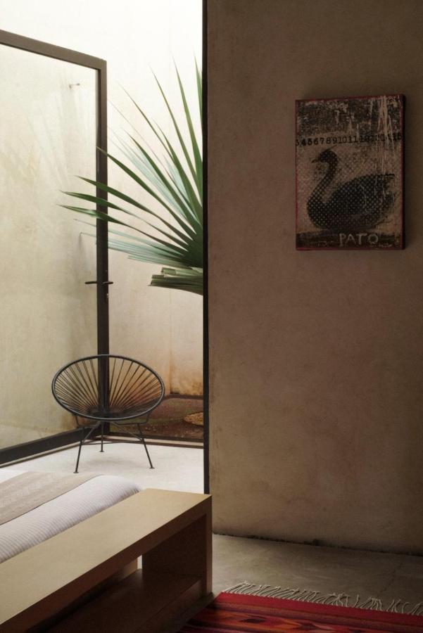 Готель Casa Carmen Reforma Oaxaca Екстер'єр фото
