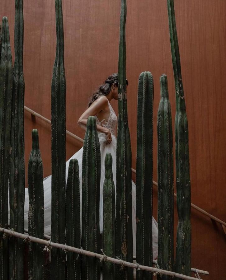 Готель Casa Carmen Reforma Oaxaca Екстер'єр фото