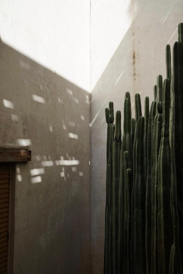 Готель Casa Carmen Reforma Oaxaca Екстер'єр фото