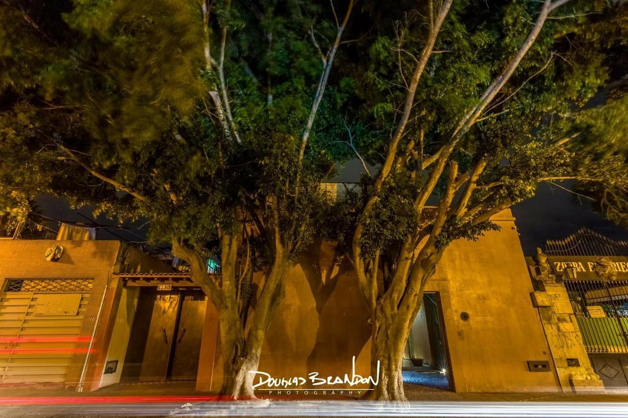 Готель Casa Carmen Reforma Oaxaca Екстер'єр фото