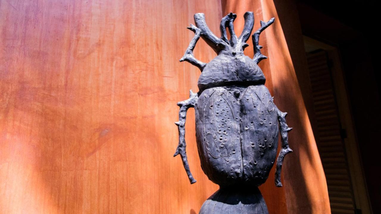 Готель Casa Carmen Reforma Oaxaca Екстер'єр фото