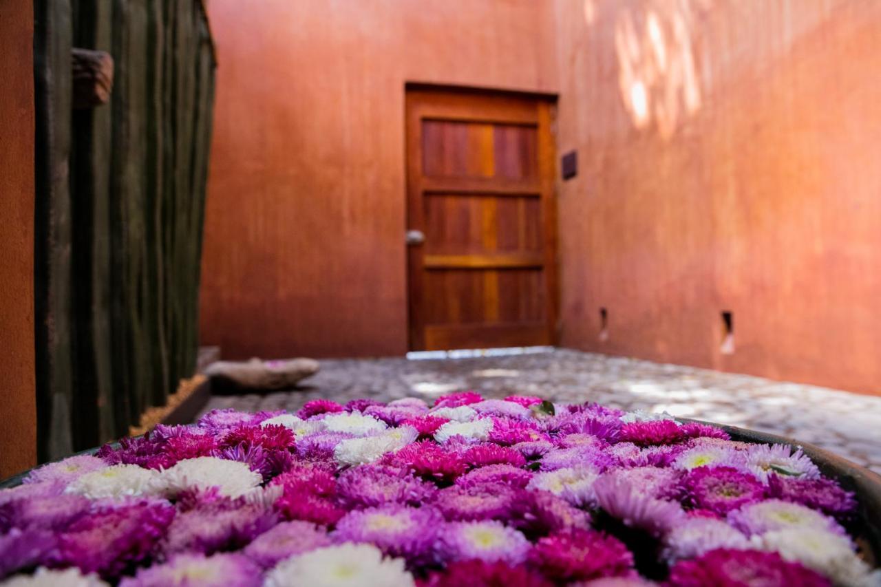 Готель Casa Carmen Reforma Oaxaca Екстер'єр фото